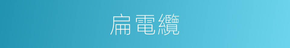 扁電纜的同義詞