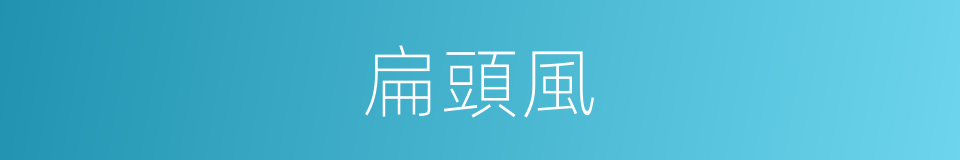扁頭風的同義詞