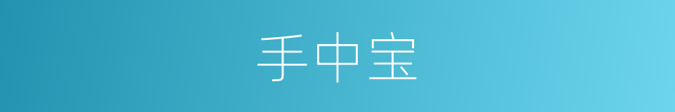 手中宝的同义词
