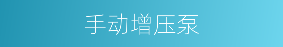 手动增压泵的同义词