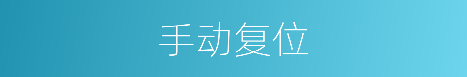 手动复位的同义词