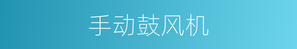 手动鼓风机的同义词