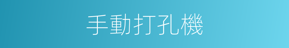 手動打孔機的同義詞