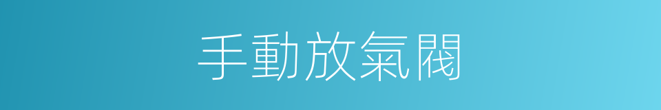 手動放氣閥的同義詞