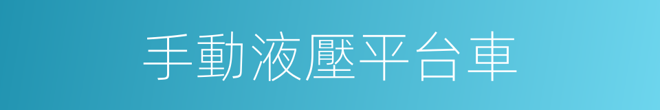 手動液壓平台車的同義詞