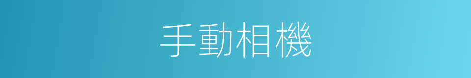 手動相機的同義詞