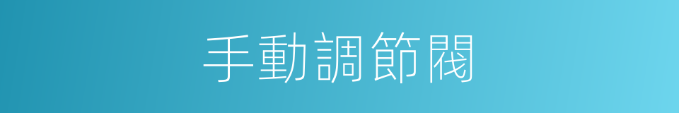 手動調節閥的同義詞