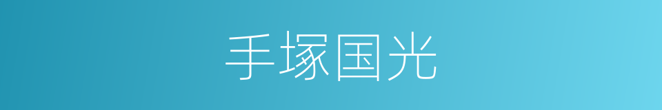 手塚国光的同義詞
