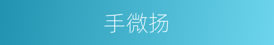 手微扬的同义词