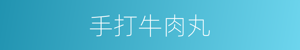 手打牛肉丸的同义词