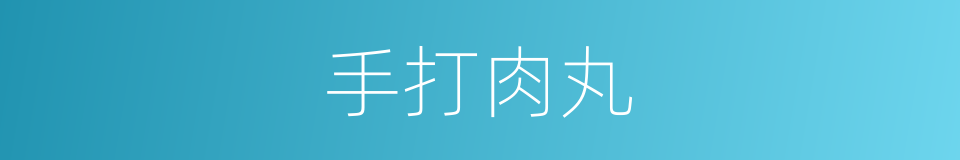 手打肉丸的同义词