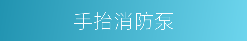手抬消防泵的同义词