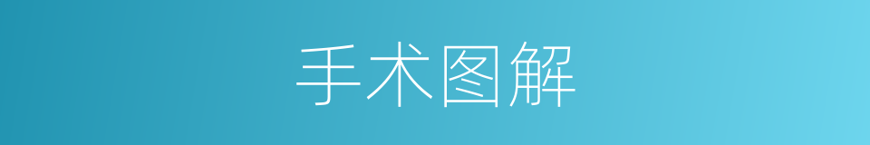 手术图解的同义词