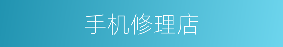 手机修理店的同义词