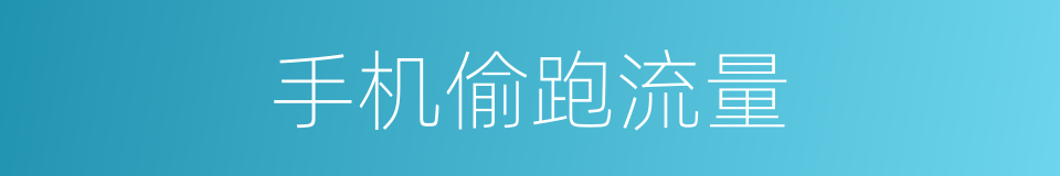 手机偷跑流量的同义词