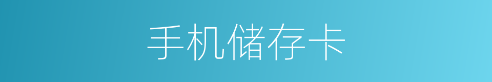 手机储存卡的同义词