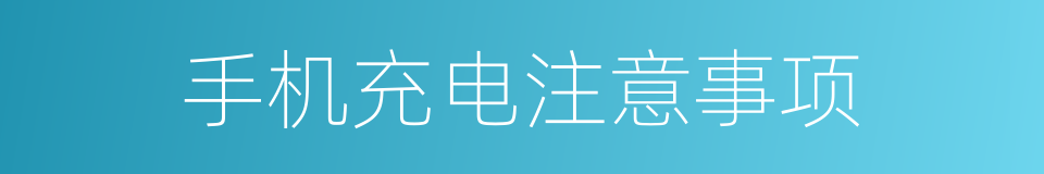 手机充电注意事项的同义词