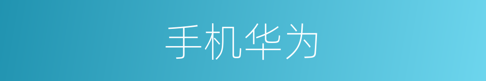 手机华为的同义词