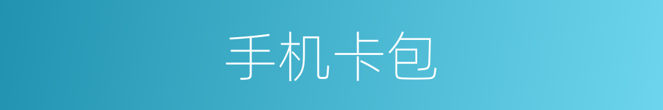 手机卡包的同义词