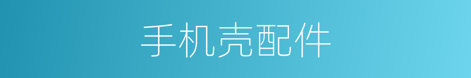 手机壳配件的同义词