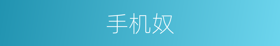 手机奴的同义词