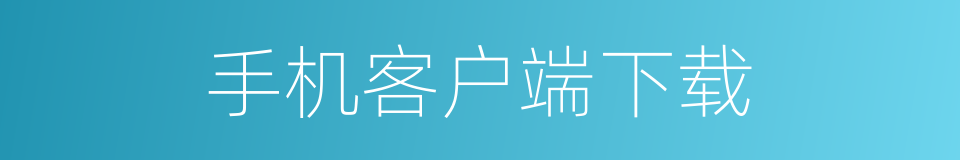 手机客户端下载的同义词