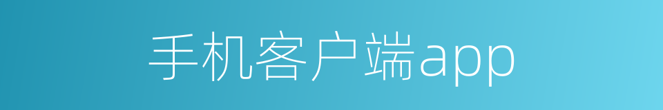 手机客户端app的同义词