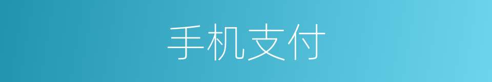 手机支付的同义词