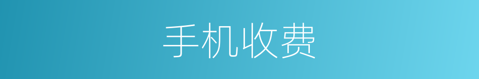 手机收费的同义词