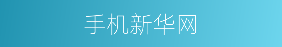 手机新华网的同义词
