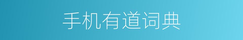 手机有道词典的同义词
