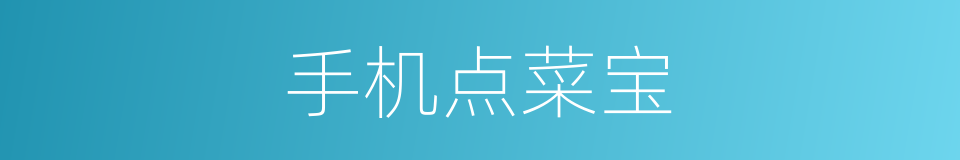 手机点菜宝的同义词