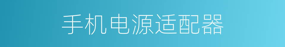 手机电源适配器的同义词