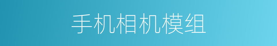 手机相机模组的同义词