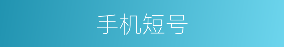 手机短号的同义词