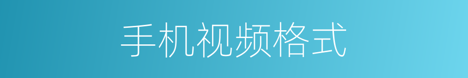 手机视频格式的同义词