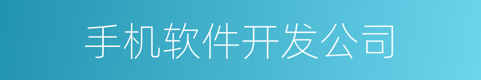 手机软件开发公司的同义词