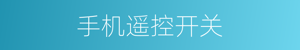 手机遥控开关的同义词