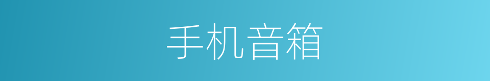 手机音箱的同义词