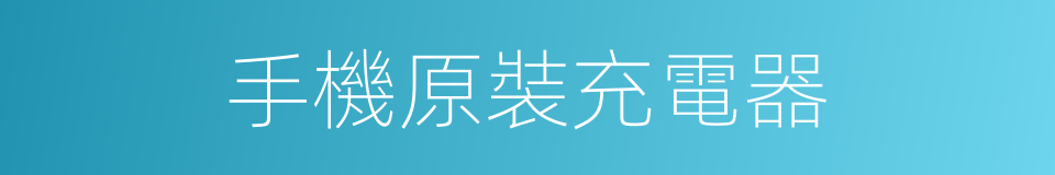 手機原裝充電器的同義詞
