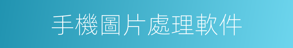 手機圖片處理軟件的同義詞