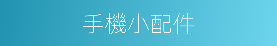 手機小配件的同義詞