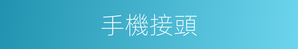 手機接頭的同義詞