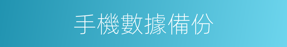 手機數據備份的同義詞