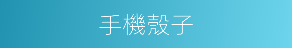 手機殼子的同義詞