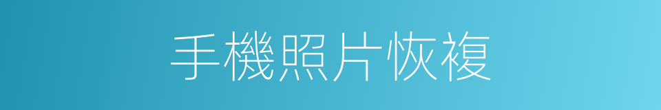 手機照片恢複的同義詞
