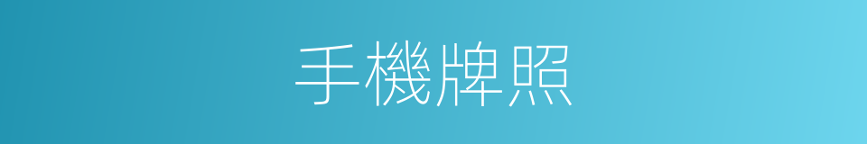 手機牌照的同義詞