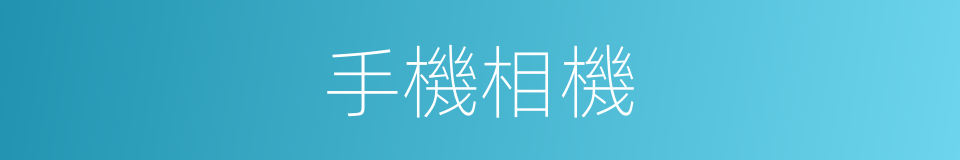 手機相機的同義詞