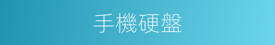 手機硬盤的同義詞