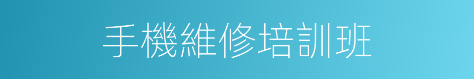 手機維修培訓班的同義詞